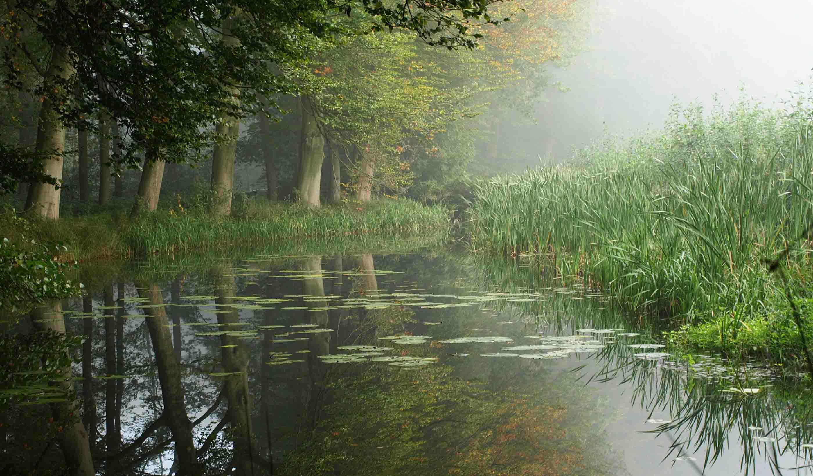 Omgevingswet - Meer verandering dan je denkt, minder dan waar je bang voor bent